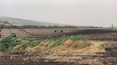 Уничтожены поля и посадки на севере Израиля: ущерб от бури - десятки миллионов шекелей - vesty.co.il - Израиль