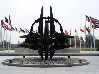 Кристина Квин - Швеция - Украина может вступить в НАТО без плана действий по членству, как Швеция и Финляндия – Квин - gordonua.com - Россия - Украина - Швеция - Финляндия - Брюссель