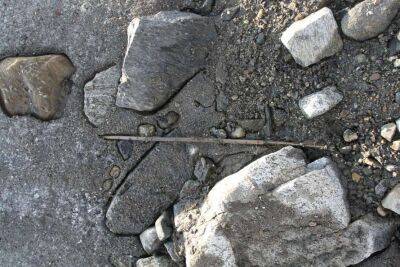 Елен Коваль - Норвегия - Археологи обнаружили в леднике 1700-летнюю стрелу с первозданным оперением (Фото) - lenta.ua - Норвегия - Украина - Антарктида - шт.Аляска