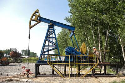 В Ферганской долине SEG вернул к жизни два ликвидированных месторождения нефти - gazeta.uz - Узбекистан - Газ