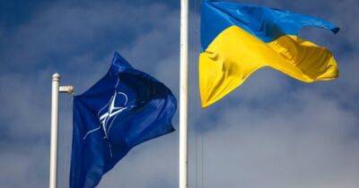 Андрей Мельник - Швеция - Украина может вступить в НАТО так же быстро, как Швеция или Финляндия, — Мельник - focus.ua - Россия - Украина - Германия - Швеция - Финляндия - Ес
