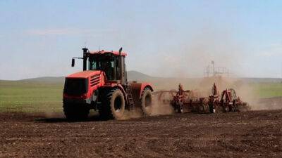 Зерновые в Украине посеяли на 75% площадей прошлого года - bin.ua - Украина - Культура