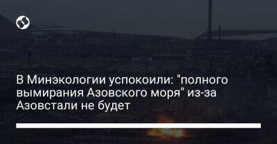 В Минэкологии успокоили: "полного вымирания Азовского моря" из-за Азовстали не будет - liga.net - Россия - Украина - Мариуполь