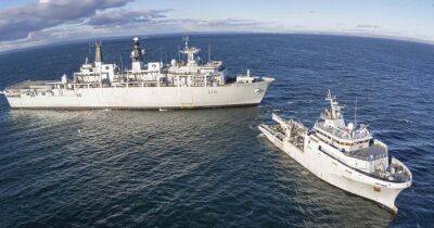 Лиз Трасс - Ллойд Остин - Британия может отправить военные корабли в Черное море для прорыва российской блокады - focus.ua - Россия - США - Украина - Англия - Египет - Литва - Дания