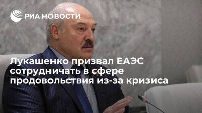 Александр Лукашенко - Лукашенко: страны ЕАЭС должны сотрудничать в сфере продовольствия из-за возможного кризиса - smartmoney.one - Белоруссия