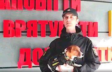Украинский пес-сапер Патрон получил престижную премию в Каннах - charter97.org - Украина - Белоруссия