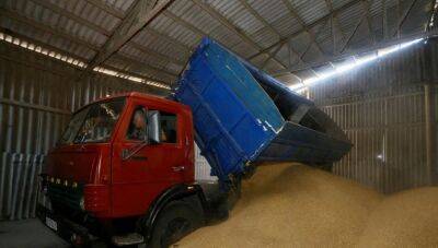 ООН сообщила о блокировке миллионов тонн зерна в портах Украины - obzor.lt - Россия - Украина