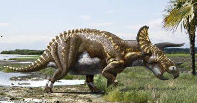 Теплокровные или холоднокровные: ученые выяснили, какими на самом деле были динозавры - focus.ua - Украина - New York