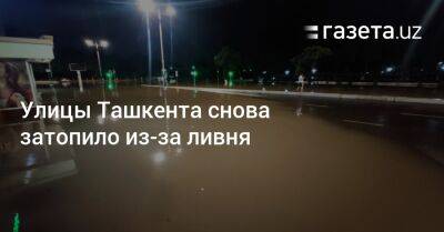 Улицы Ташкента снова затопило из-за ливня - gazeta.uz - Узбекистан - Ташкент - район Мирзо-Улугбекский - Tashkent