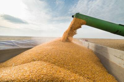 Балтийские страны призывают ООН обеспечить безопасную доставку украинского зерна - obzor.lt - Россия - Украина - Эстония - Литва - Латвия