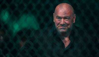 Дана Уайт - Петр Ян - UFC запретил бойцам выходить на поединки с национальными флагами - sportarena.com - Россия - Украина