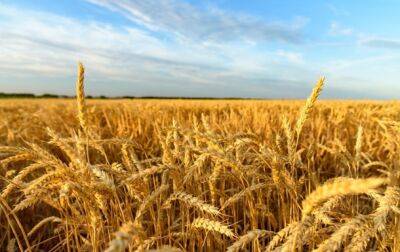 Тарас Высоцкий - Урожай в Украине может сократиться на 40% - korrespondent - Россия - Украина