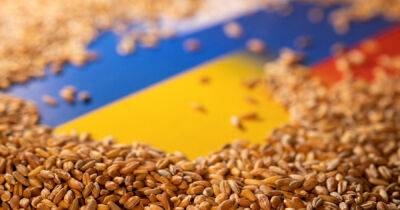 Антониу Гутерреш - Украина экспортирует зерно по двум каналам - dsnews.ua - Россия - Украина - Киев - Румыния - Польша