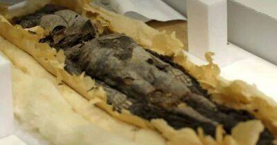 Сопровождали отца в подземный мир. Археологи нашли останки детей Тутанхамона - focus.ua - Украина - Египет