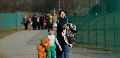 20-30% українських біженців не повернеться додому, — прогноз військового психолога - thepage.ua - Украина