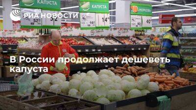 Росстат: цены на капусту, огурцы, помидоры, лук и морковь с 4 по 10 июня снизились - smartmoney.one - Россия