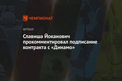 Славиша Йоканович прокомментировал подписание контракта с «Динамо» - championat.com