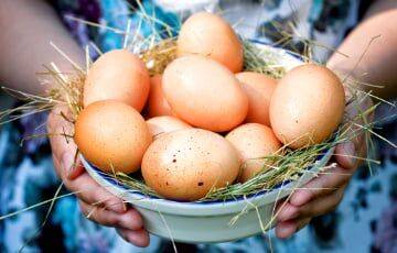 Ученые выяснили, насколько полезно употребление куриных яиц - charter97.org - Белоруссия - Пекин