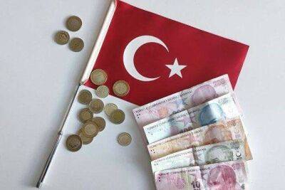 Эксперт Гечер прогнозирует снижение курса турецкой лиры до 25 за доллар в ноябре - smartmoney.one - США - Турция - Анкара