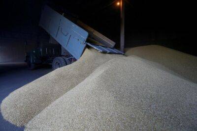 Петер Сийярто - Анастасий Маркин - Венгрия готова перевозить зерно из Украины через свою территорию - rupor.info - Украина - Венгрия