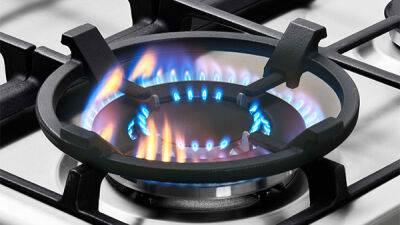 Ярослав Железняк - Рада приняла в первом чтении законопроект о введении моратория на повышение тарифов на газ и тепло - bin.ua - Украина - Ассоциация - Газ