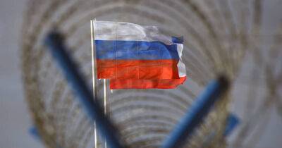 В России разрешили торговать "контрабандой" - dsnews.ua - Россия - Украина - Германия - Госдума
