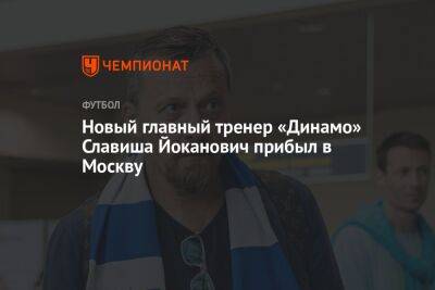 Новый главный тренер «Динамо» Славиша Йоканович прибыл в Москву - championat.com - Москва