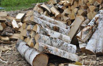 Дефицит дров: белорусам приходится ждать доставки по четыре месяца - charter97.org - Белоруссия - Минск