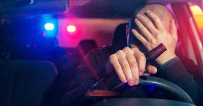 Во второй день Лиго полиция задержала 29 пьяных водителей - rus.delfi.lv - Латвия