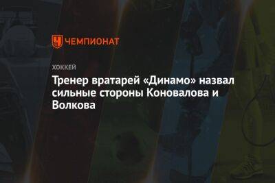 Тренер вратарей «Динамо» назвал сильные стороны Коновалова и Волкова - championat.com - Москва - Тюмень
