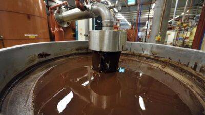 Бельгия - На крупнейшей в мире шоколадной фабрике обнаружена сальмонелла - unn.com.ua - Украина - Киев - Швейцария - Бельгия - Брюссель