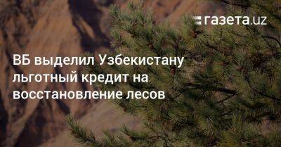 ВБ выделил Узбекистану льготный кредит на восстановление лесов - gazeta.uz - Узбекистан - Корея