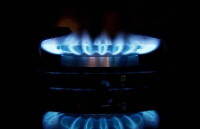 Европа запасает газ из-за рисков санкций в отношении России, заявила эксперт - ont.by - Россия - Белоруссия - Газ