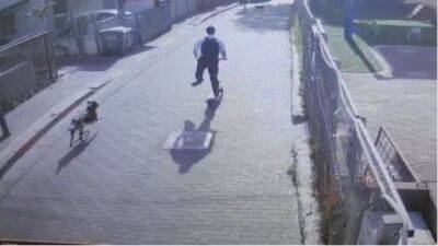 Видео: в Петах-Тикве раввин погиб под машиной из-за гнавшейся за ним собаки - vesty.co.il - Израиль