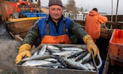 На Ямале откроют цех переработки рыбы на деньги губернаторского гранта - smartmoney.one