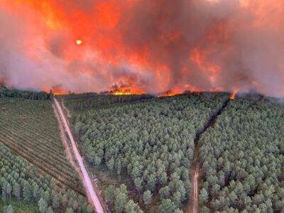 Тысячи туристов эвакуированы с юго-запада Франции из-за лесных пожаров - unn.com.ua - Украина - Киев - Франция - Португалия