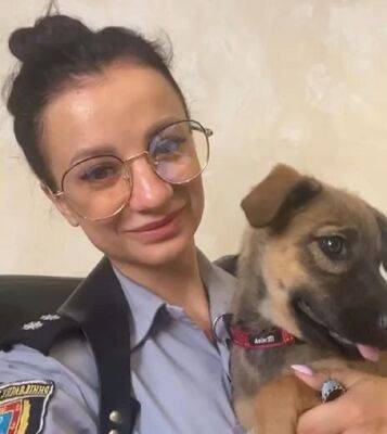 Житель Одессы избивал щенка: животное спасла публикация в соцсетях - odessa-life.od.ua - Украина - Одесса