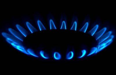 Регулятор ФРГ предупредил, что при росте цен на газ потребители будут шокированы - ont.by - Белоруссия - Германия - Газ