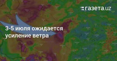 3−5 июля ожидается усиление ветра - gazeta.uz - Узбекистан - Навоийской обл.