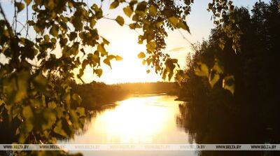 Белгидрмет: на 22 июля объявлен желтый уровень опасности из-за жары - ont.by - Белоруссия