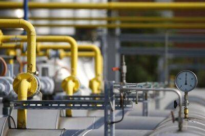 Австрия - В ФРГ и Австрии получают только 40-50% согласованных объемов газа после подключения "Северного потока" - unn.com.ua - Австрия - Россия - Украина - Киев - Германия - Газ - Ес