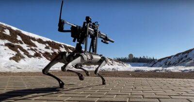В России робота-собаку оснастили пулеметом и заставили стрелять (видео) - focus.ua - Россия - Украина - Boston