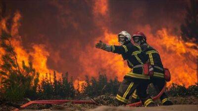 Ганс Клюге - Более 1700 человек погибли в Португалии и Испании из-за сильной жары в Европе - unn.com.ua - Украина - Киев - Лондон - Франция - Испания - Португалия - Греция - Европа