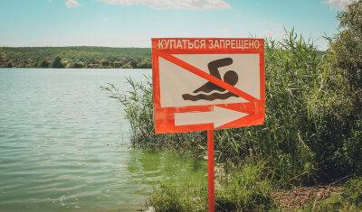 В двух тюменских озерах нашли паразитов — аскарид и токсокар - nashgorod.ru - Тюмень - Тюменская обл.