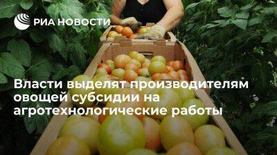 Михаил Мишустин - Дмитрий Патрушев - Мишустин: власти выделят производителям овощей субсидии на агротехнологические работы - smartmoney.one - Россия