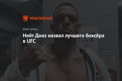 Максим Холлоуэя - Ариэль Хельвани - Хамзат Чимаев - Нейт Диаз назвал лучшего боксёра в UFC - championat.com - США - Вегас