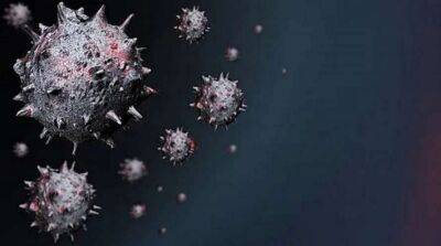 Новий варіант омікрон-штаму коронавірусу виявили в Україні - lenta.ua - Україна