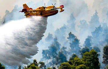 В Турции вновь вспыхнули масштабные лесные пожары - charter97.org - Белоруссия - Турция