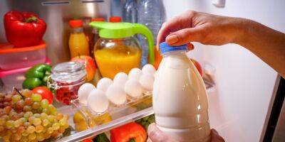 Виды молока и срок годности. Как правильно хранить молоко после открытия - nv.ua - Украина