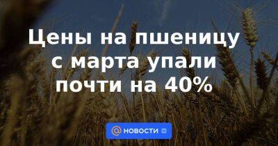 Владимир Путин - Цены на пшеницу с марта упали почти на 40% - smartmoney.one - Россия - Украина - Казахстан - Запорожская обл. - Индия